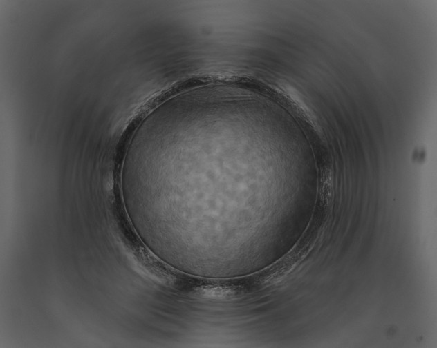 X0000090930500200708271047