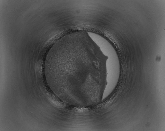 X0000090930501200708271047