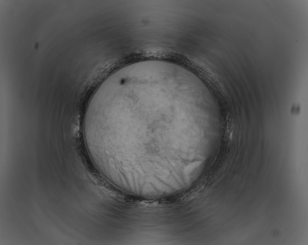 X0000090930502200708271047