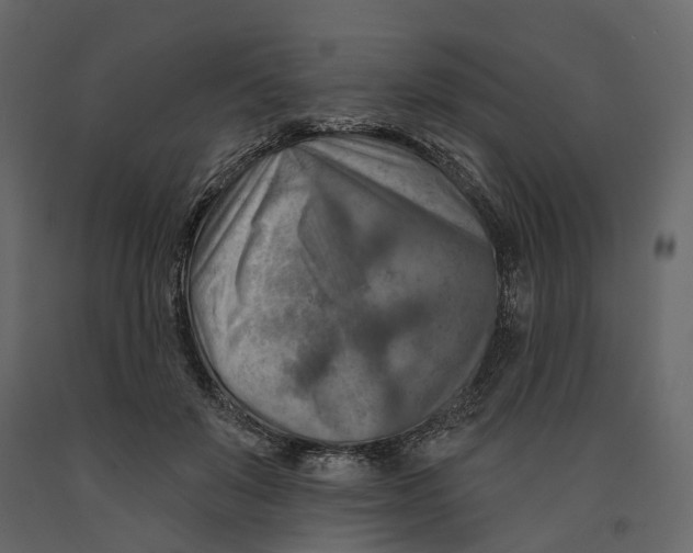 X0000090930503200708271047