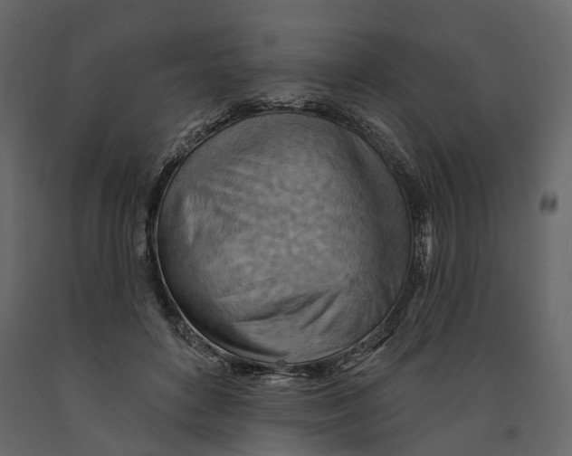 X0000090930504200708271047