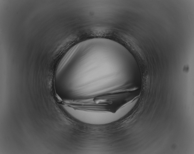 X0000090930505200708271047