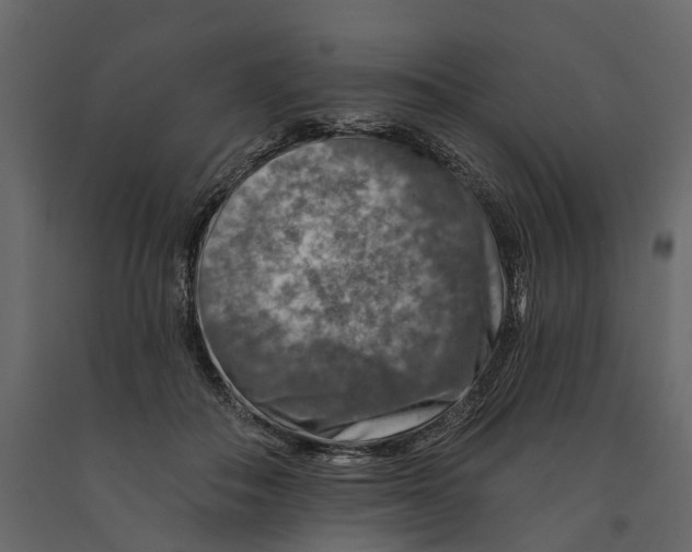 X0000090930506200708271047