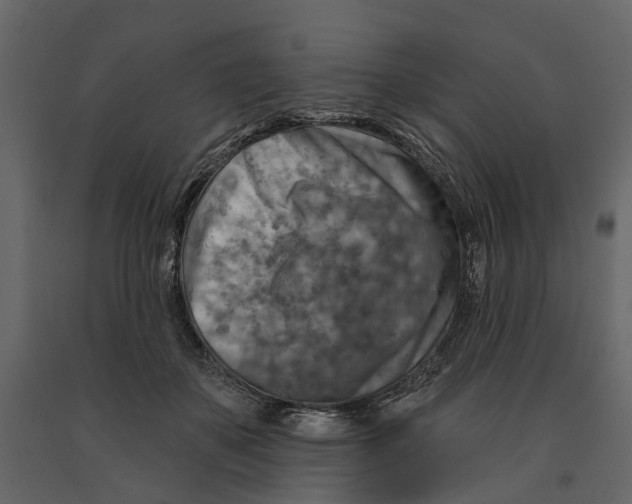 X0000090930507200708271047