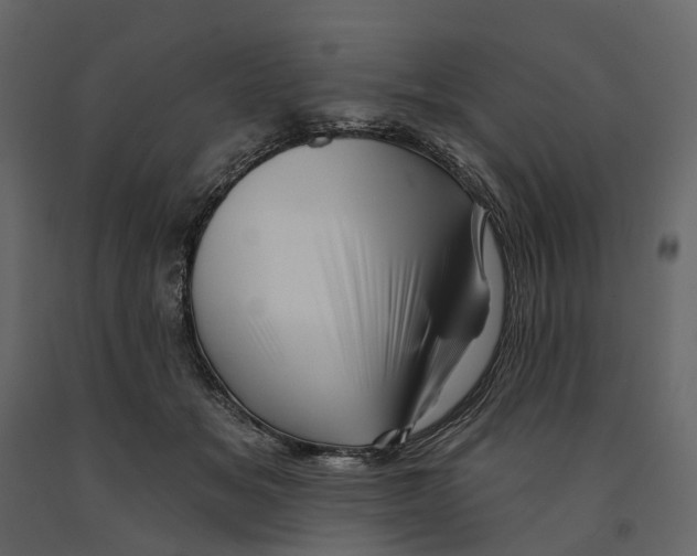 X0000090930509200708271047