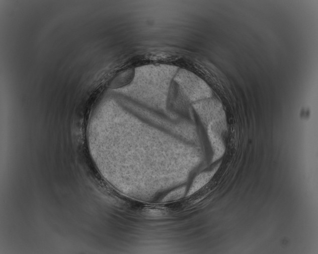 X0000090930510200708271047