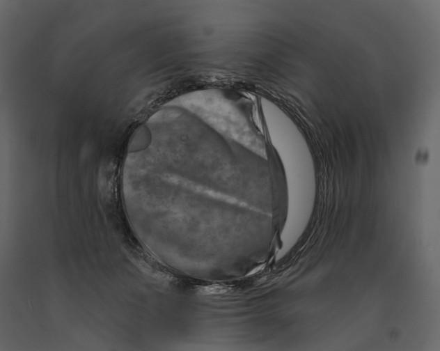 X0000090930511200708271047