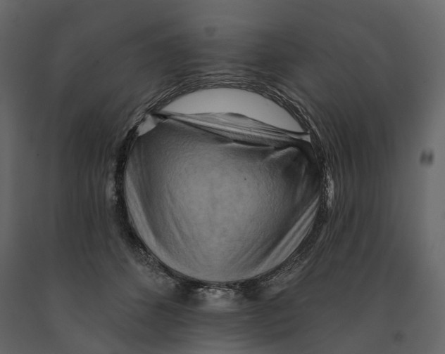 X0000090930512200708271047