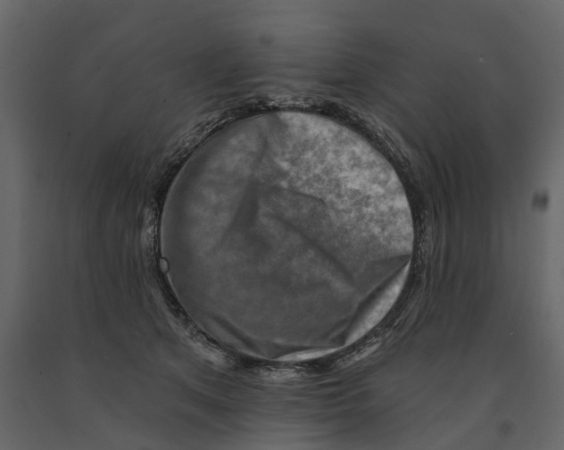 X0000090930513200708271047