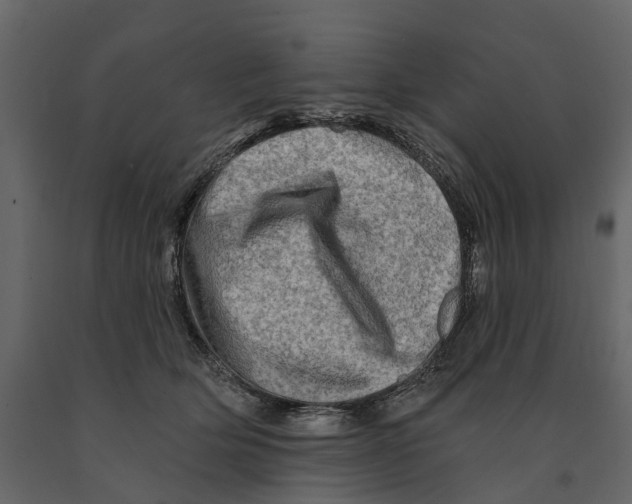 X0000090930514200708271047