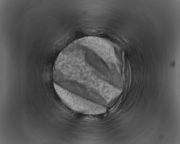 X0000090930515200708271047