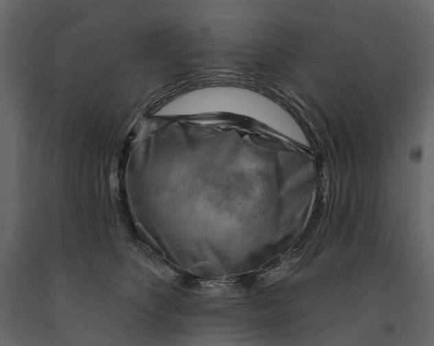 X0000090930516200708271047