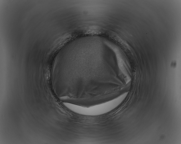 X0000090930517200708271047