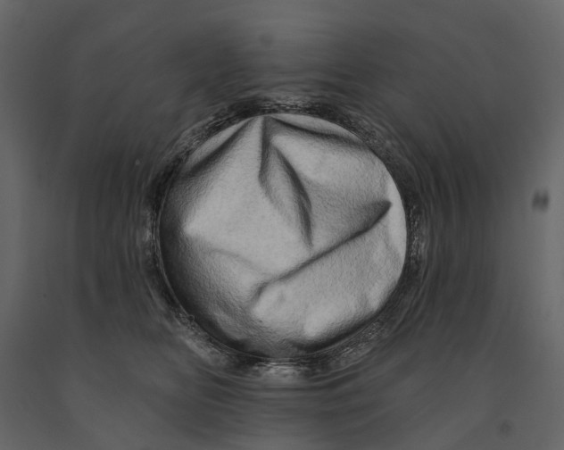 X0000090930518200708271047