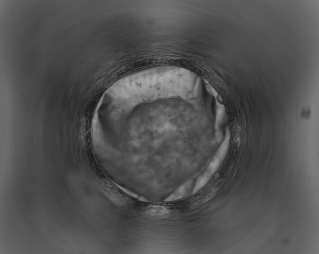 X0000090930519200708271047