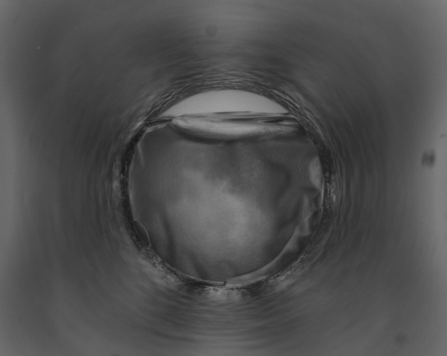 X0000090930520200708271047