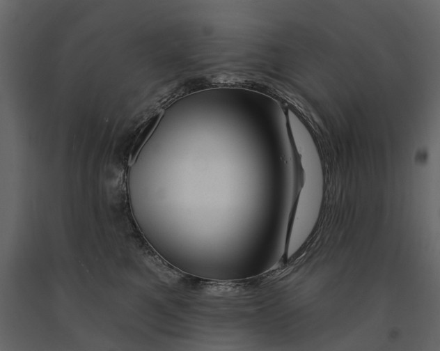 X0000090930521200708271047