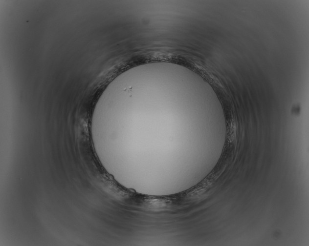 X0000090930522200708271047