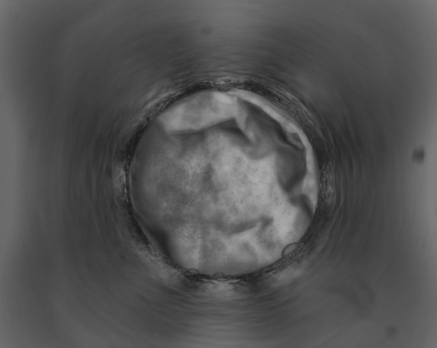 X0000090930523200708271047