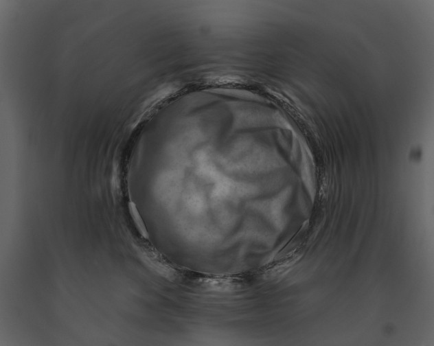 X0000090930524200708271047