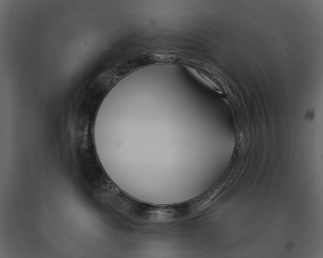 X0000090930525200708271047