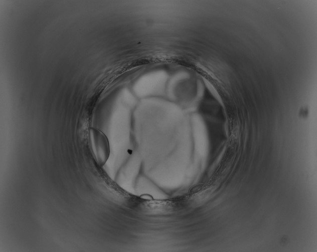 X0000090930526200708271047