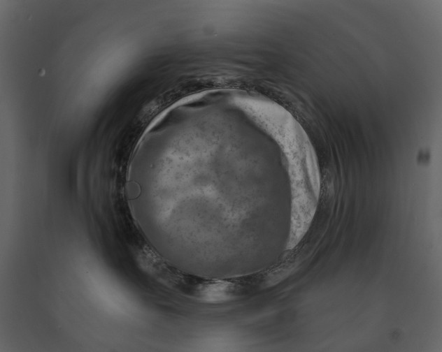 X0000090930527200708271047