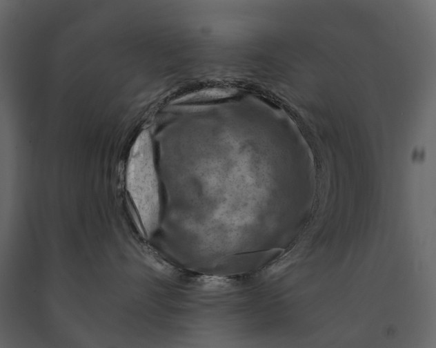 X0000090930528200708271047