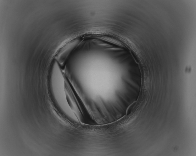 X0000090930530200708271046