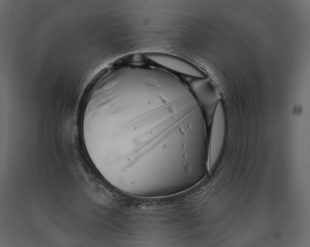 X0000090930532200708271046