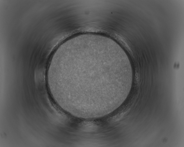 X0000090930534200708271046