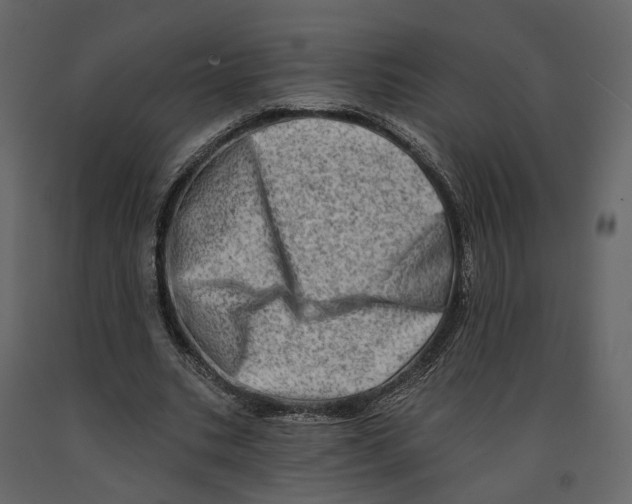 X0000090930535200708271046