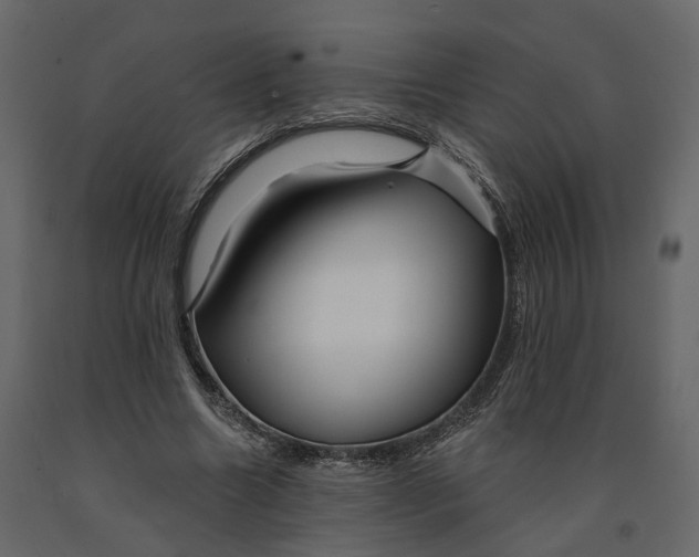 X0000090930538200708271046