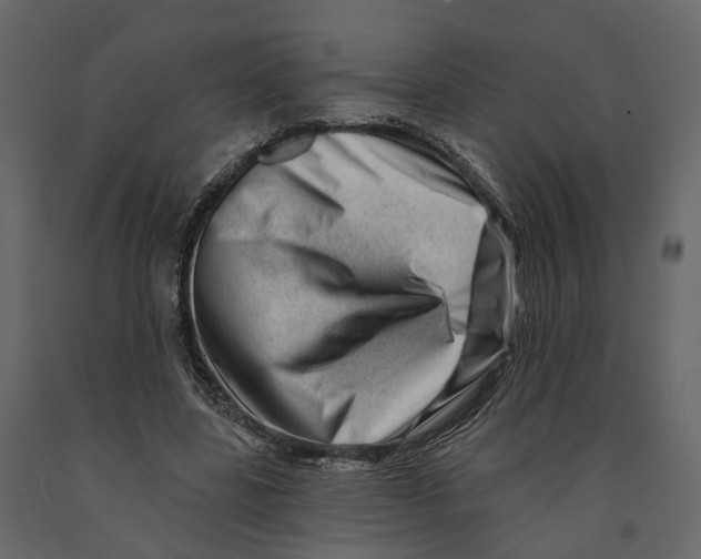 X0000090930539200708271046