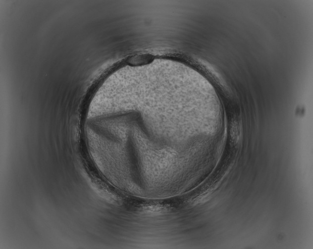 X0000090930540200708271046