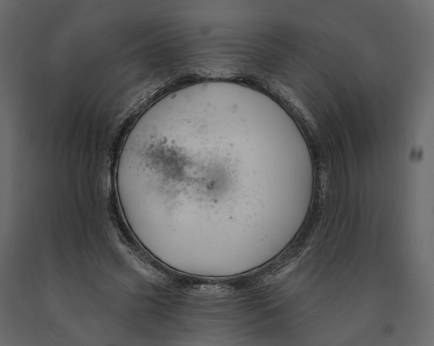 X0000090930541200708271046