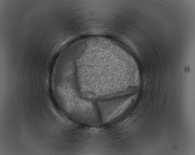 X0000090930542200708271046