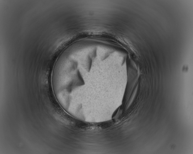 X0000090930543200708271046