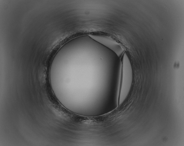 X0000090930544200708271046