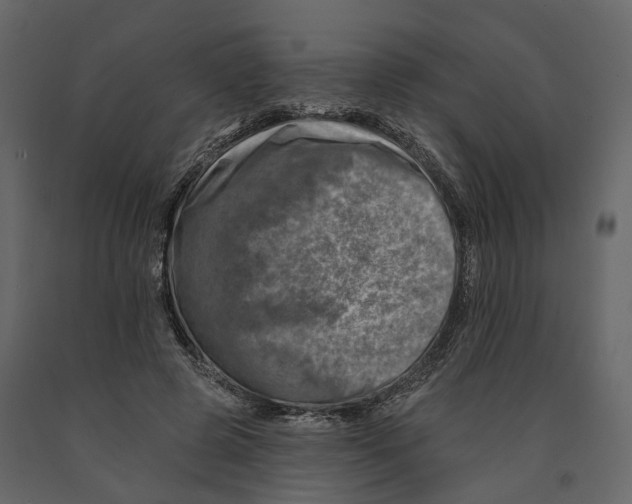 X0000090930545200708271046