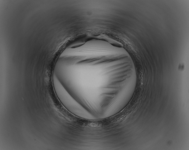 X0000090930546200708271046