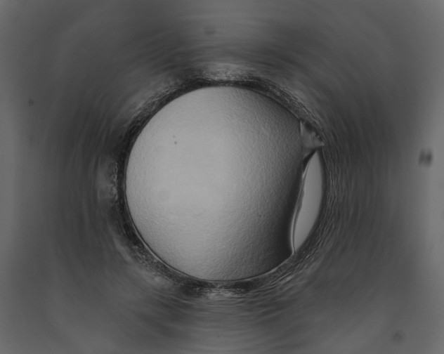 X0000090930547200708271046