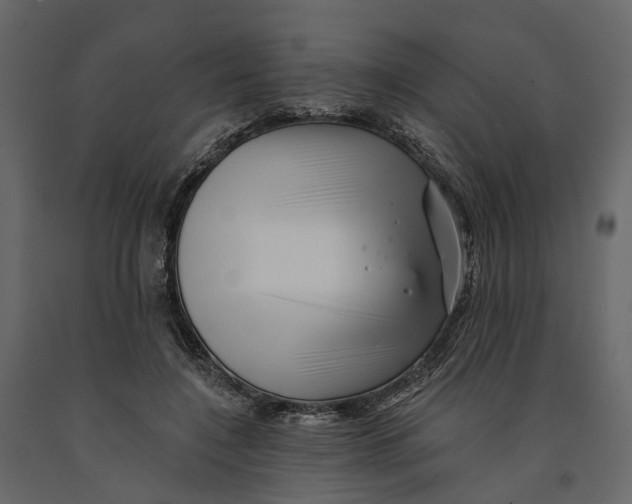 X0000090930548200708271046