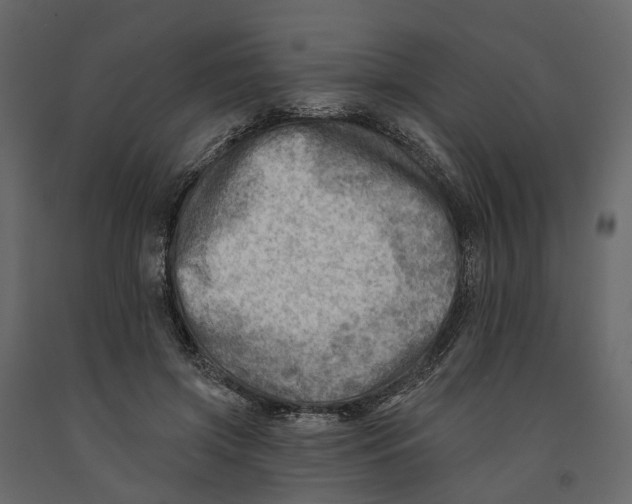 X0000090930549200708271046