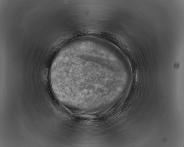 X0000090930550200708271046