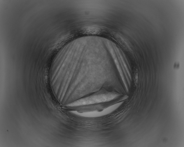 X0000090930551200708271046