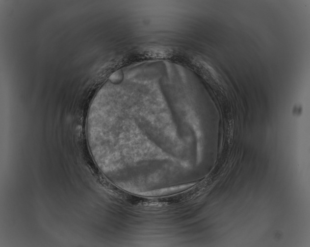 X0000090930553200708271046