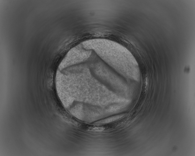 X0000090930554200708271046