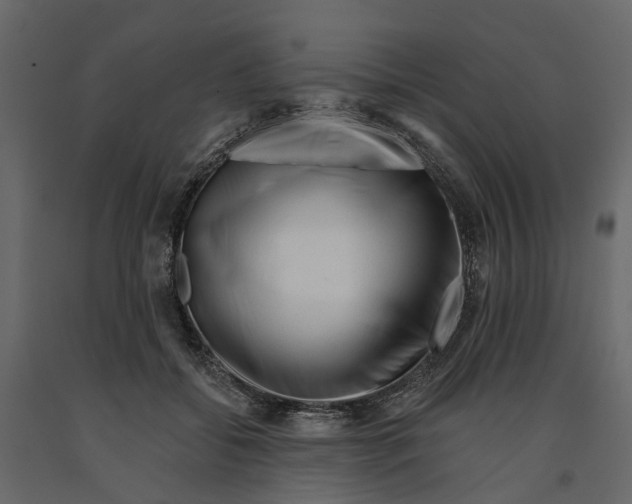 X0000090930556200708271046