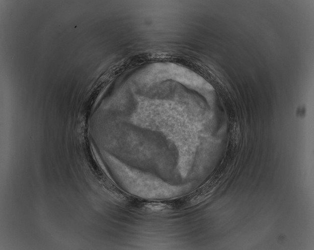 X0000090930557200708271046